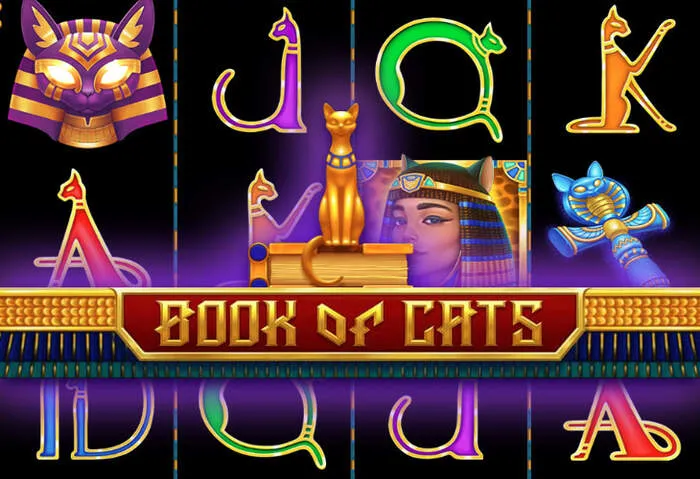 Casino live Betcity : roulette, blackjack et baccarat avec croupiers.